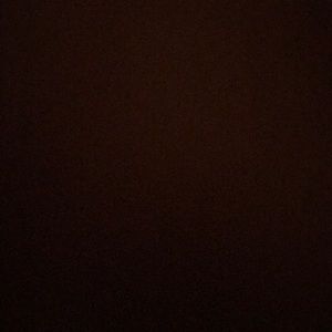 Meet your Posher, Ava